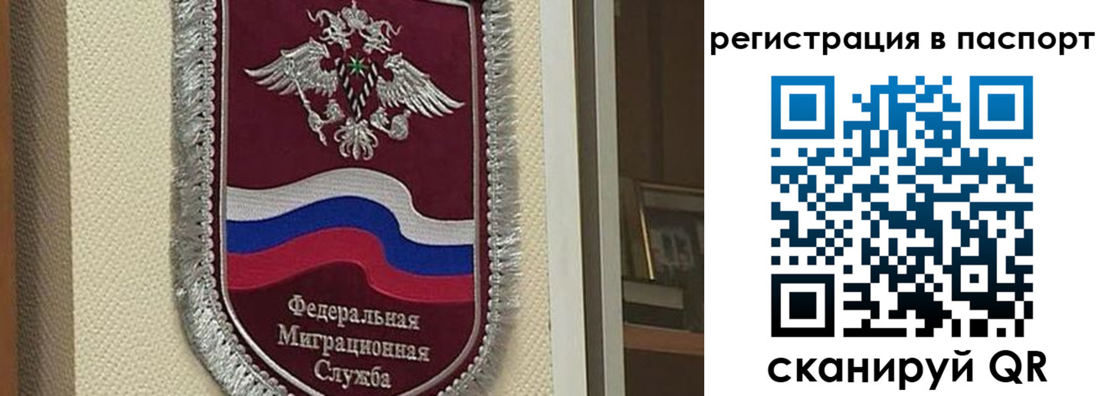 прописка законно в Коле